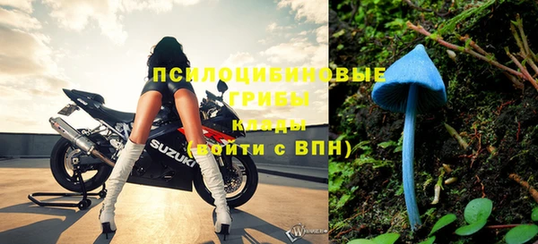 круглые Вяземский