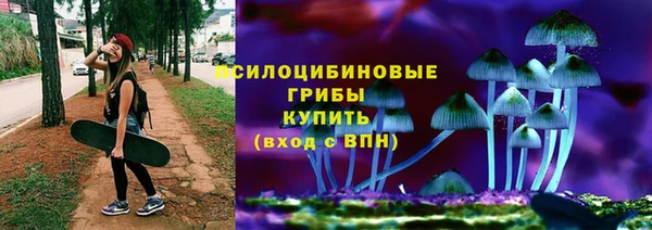 круглые Вяземский
