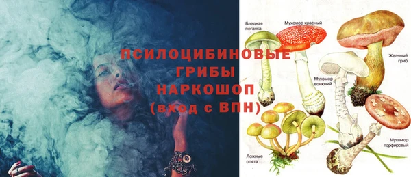 марки nbome Горнозаводск